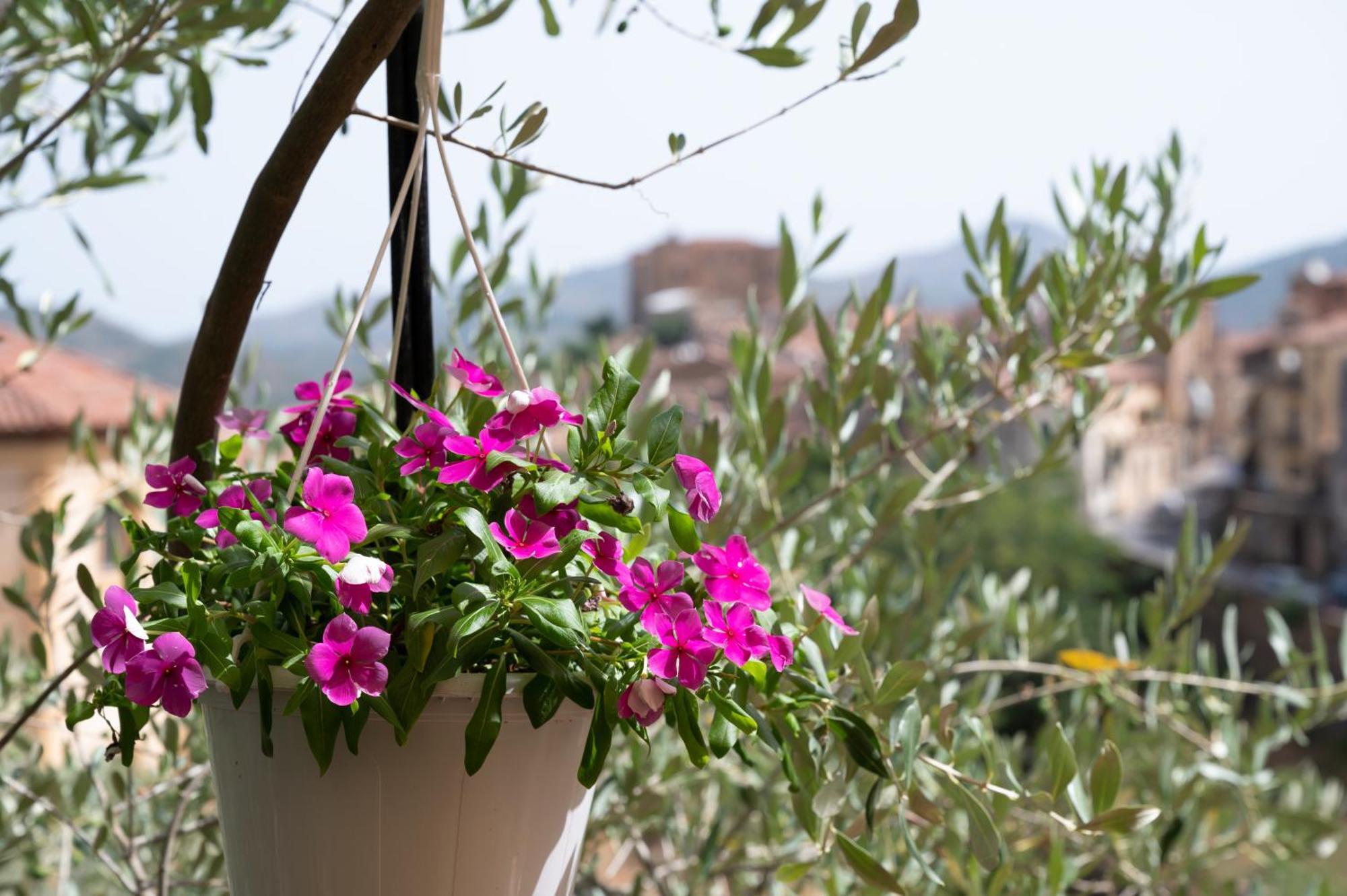 B&B Panorama Castelbuono  Exteriör bild